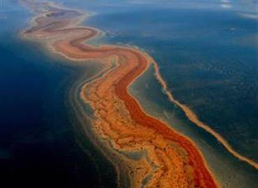 Dispersants Used in Oil Spill